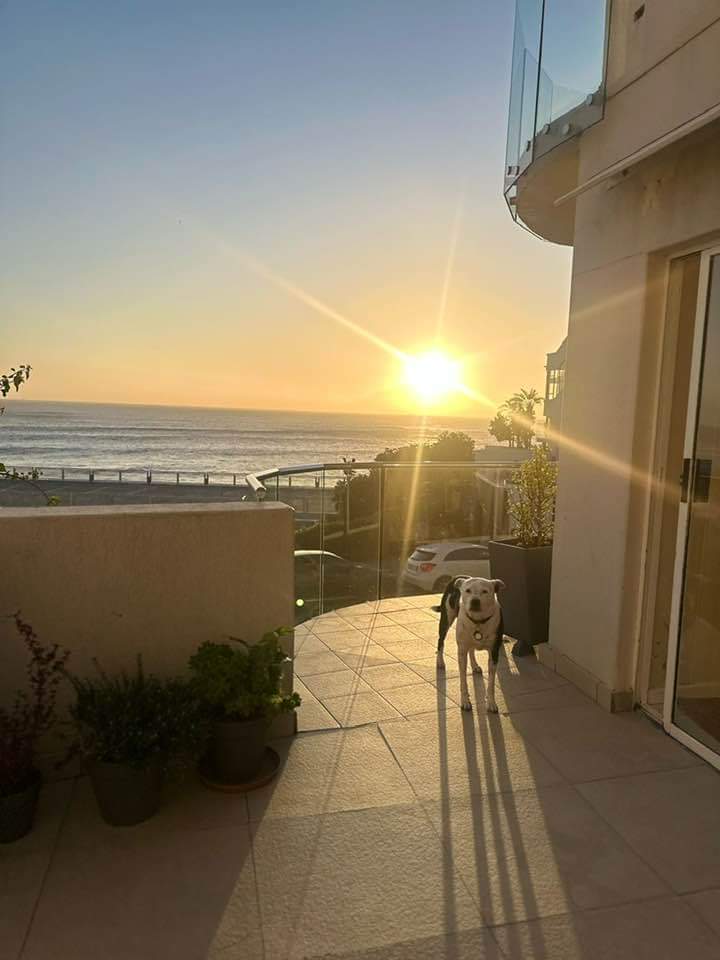To Let 2 Bedroom Property for Rent in Clifton Western Cape
